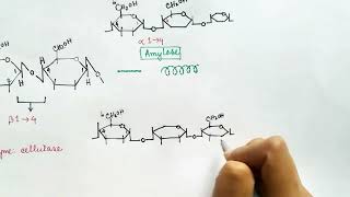 Carbohydrate Part 3 Hindi  Sucrose  Maltose  Lactose  Starch  Disaccharide  Polysaccharide [upl. by Lien291]