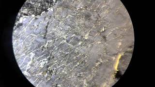 Petrology Thin Section Perthite in Monzonite [upl. by Latricia]