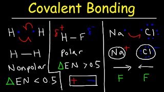 Polar Covalent Bonds and Nonpolar Covalent bonds Ionic Bonding  Types of Chemical Bonds [upl. by Chadwick]