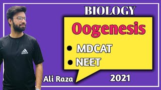 Oogenesis  NMDCAT 2021 [upl. by Harding]