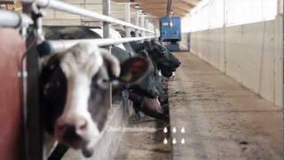 DeLaval Optimat™ Master på Torp [upl. by Aciram]