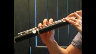 Di Zhao Grenadilla Wood Flute w C Foot New Sound Demo of MidLow Registers [upl. by Beesley]