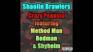 Shaolin Brawlers feat Method Man  Redman  Shyheim [upl. by Hume]