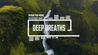 Documentary Violin Cinematic by Infraction No Copyright Music  Deep Breaths [upl. by Siravaj]