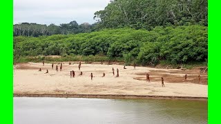 Uncontacted Tribe Reportedly Kills Two Lumberjacks [upl. by Lennon]