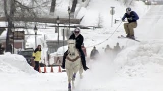 Crazy Winter Sport Skijoring  Season Pass [upl. by Alian]