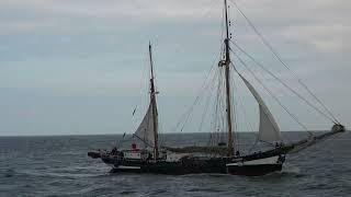 OOSTENDE VOOR ANKER 2024  moderate sea  DE TUKKER  arrival [upl. by Ennazor]