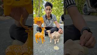 Rc Camel And Remote Control Deer Unboxing🔥🦌 [upl. by Mya847]