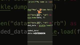 Python Functions The Pickle Function [upl. by Annette]