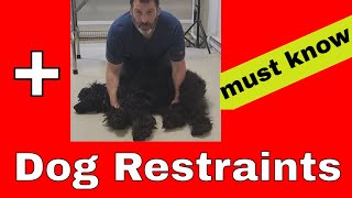 Dog Restraints You Should Know [upl. by Popelka]