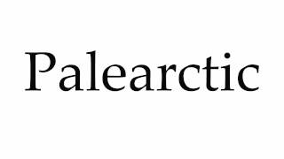 How to Pronounce Palearctic [upl. by Gregor]