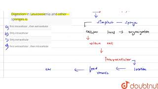 Digestion in Leucosolenia and other sponges is [upl. by Ettenan470]