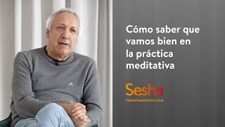 Cómo saber que vamos bien en la práctica meditativa [upl. by Enitsirk]