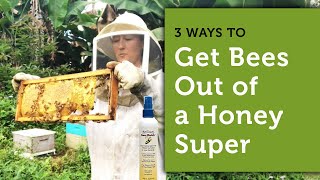 3 Ways to Get Bees Out of a Honey Super  How to Harvest Honey  Beekeeping for Beginners [upl. by Eicats94]