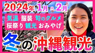 【沖縄観光NEWS】2024年1月•2月の沖縄を大満喫するならこちら！服装•グルメ•桜まつり•おみやげなど私のオススメを紹介します！ [upl. by Atnwahs]