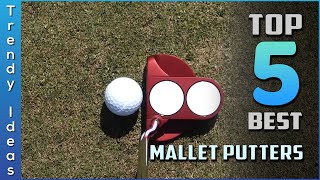 Top 5 Best Mallet Putters Review In 2023  You Can Buy Right Now [upl. by Annayoj675]