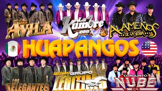 💫Huapangos Mix 2024👑Los Alamenos La Kumbre Con K Los Avila Elegantes Legitimo Conjunto Nube [upl. by Llij]