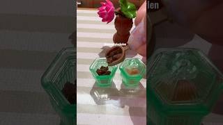 Mini coffee and sugar jar😍 music cute kawaii toys youtubeshorts viral mini [upl. by Nelrac]