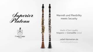 F Arthur Uebel Superior Plateau Bb Clarinet in Grenadilla and Mopane [upl. by Dannon]