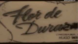 FLOR DE DURAZNO Primer film de Gardel 1917 Película Muda [upl. by Thurlough594]