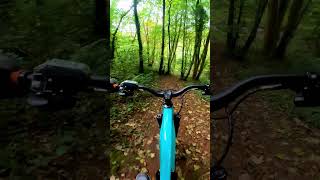 Face first MTB crash mtbcrashes crash mtb [upl. by Alleinad]