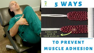 5 SURE FIRE WAYS TO PREVENT ADHESION THE GLUE IN YOUR MUSCLES THAT CAUSES YOUR PAIN [upl. by Nealon]