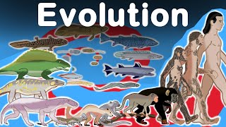 Awesome Human Evolution Timelapse [upl. by Federico]