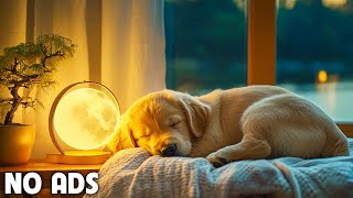 12 Hours Dog Calming Music For Dogs 💖 Stress Relief Music Relaxing Sleep Music 💖dog music no ads [upl. by Yenettirb]