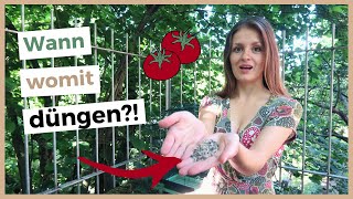 Tomaten richtig düngen 🍅 Nutzt du diese 3 Methoden [upl. by Larisa]