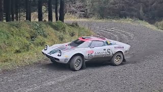 Best of LANCIA STRATOS pure sound  Roger Albert Clark rally 2023 [upl. by Adnamma]