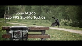 Sony A6300 Slow Motion Test 120 FPS [upl. by Nebe]