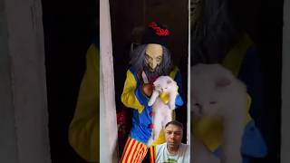 Joker🧛 Harassed Cat 🐈🐱 जोकर ने बिल्ली को परेशान किया ytshorts funny shortsvideo viralvideo [upl. by Irahcaz306]