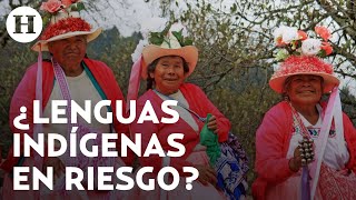 El INALI podría desaparecer ¿sería un riesgo para la conservación de lenguas indígenas en México [upl. by Fawcett961]