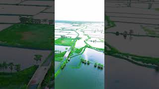 আমাদের গ্রাম Drone View sorts viralshort youtubeshorts dronview [upl. by Latif655]