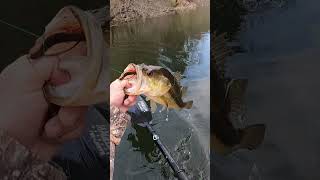 DONT Ruin Spots Retrieving Snagged Lures bassfishing kayakbassfishing springfishing [upl. by Hakeem]