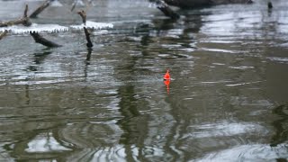 Float Fishing for MICHIGAN Steelhead  BOBBER DOWNS [upl. by Hoshi]