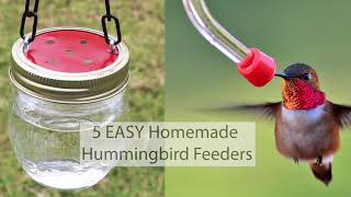 5 EASY DIY Homemade Hummingbird Feeders [upl. by Robin]