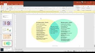 prokaryotes vs eukaryotes [upl. by Hendricks]