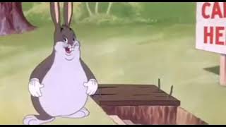 Big CHUNGUS Song [upl. by Honebein837]