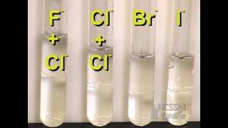 Halogens Displacement Reactions [upl. by Naldo]