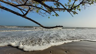 Come With Us To Quinam Beach  Trinidad  Road Trip Adventures [upl. by Gussy80]