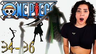 One Piece Episodes 3436 Reaction  Arlong Park  East Blue [upl. by Amata]