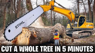 14 Incredible Fastest Big Chainsaw Machines For Cutting Trees [upl. by Mcgill84]