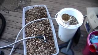 DIY Gravel FIlter [upl. by Anastasius999]