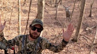 BUCKS EVERYWHERE in OHIO Bowhunting the RUT [upl. by Adnawaj]