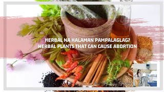 PAMPA REGLA AT PAMPALAG LAG NA HERBALHALAMANG GAMOT💁 HERBAL PLANTS THAT CAN CAUSE AB0RT0N [upl. by Zins]