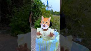 Wait For The Billi🐱🤣mistihappylifestyle shorts viral funny trending shortvideo [upl. by Ahsiam553]