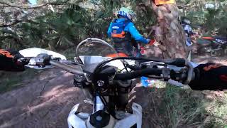 FTR Hare Scramble 5  Okeechobee 2023  Super Senior C [upl. by Aratas]