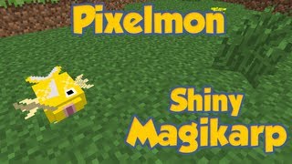 Pixelmon  SHINY MAGIKARP AND SEAKING [upl. by Fairbanks]