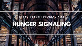 Hunger Signaling Intro Psych Tutorial 161 [upl. by Ardnat]